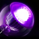 lumeneye_3