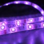 Lumen Strip TLS100 (purple)